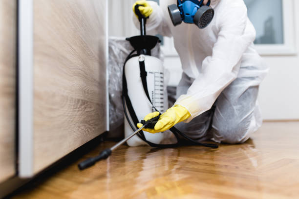 Best Pest Prevention Services  in Village Green Green Ridge, PA