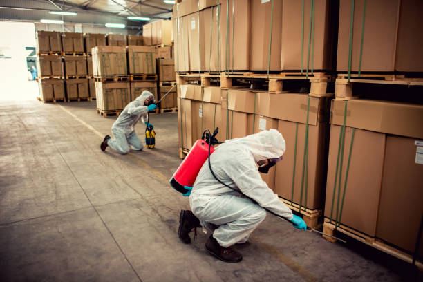 Best Wasp Removal Services  in Village Green Green Ridge, PA