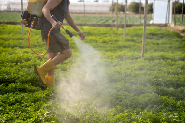 Best Affordable Pest Control Services  in Village Green Green Ridge, PA