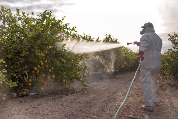 Best Pest Control Near Me  in Village Green Green Ridge, PA
