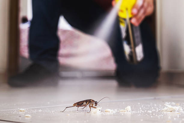Best Termite Control Services  in Village Green Green Ridge, PA