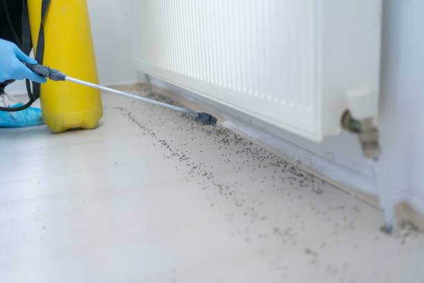 Best Ant Control Services  in Village Green Green Ridge, PA