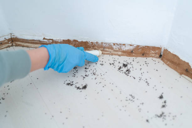 Village Green Green Ridge, PA Pest Control Pros