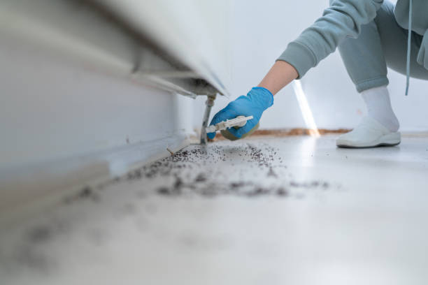Professional Pest Control in Village Green Green Ridge, PA